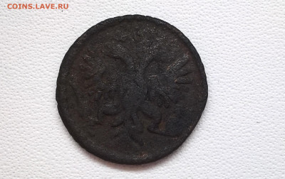 Полушки 1734-38года 5 шт на определение - 8