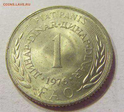 1 динар 1976 ФАО Югославия №1 18.04.2020 22:00 МСК - CIMG3573.JPG