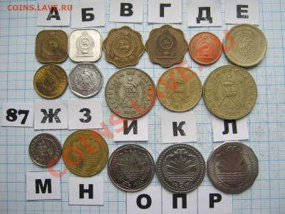 ЭКЗОТИКА-2. МНОГО ВСЯКОЙ РАЗНОЙ!!! ПОСТОЯННОЕ ПОПОЛНЕНИЕ!!! - 87-2.JPG