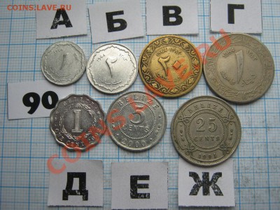 ЭКЗОТИКА-2. МНОГО ВСЯКОЙ РАЗНОЙ!!! ПОСТОЯННОЕ ПОПОЛНЕНИЕ!!! - 90-1.JPG