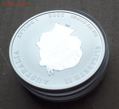Серебро Австралия 1 доллар, 2008 Год мыши Цветная 16.04 - 1 (7)