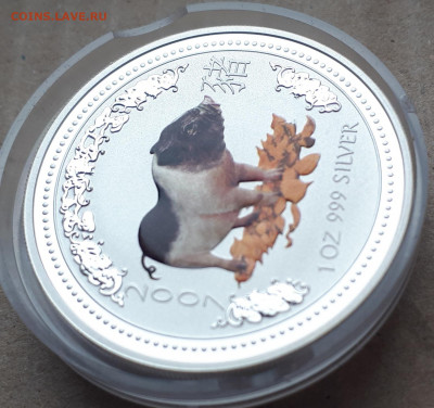 Серебро Австралия 1 доллар, 2007 Год свиньи.Цветная до 16.04 - 1 (13)