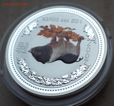Серебро Австралия 1 доллар, 2007 Год свиньи.Цветная до 16.04 - 1 (12)