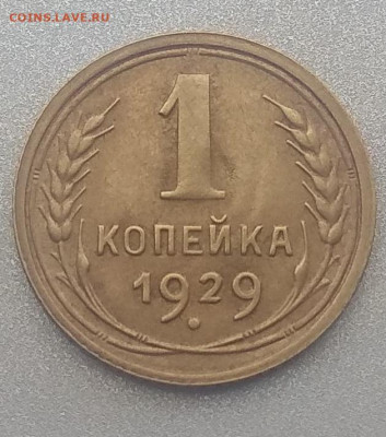 1 копейка 1929 года. Оценка . - IMG_20200412_161135
