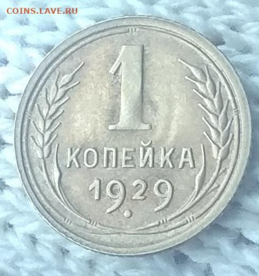 1 копейка 1929 года. Оценка . - IMG_20200412_161426