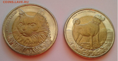 Турция 2010г.Кр.книга1+1лира Кошка,собака до17.04.20г.22:00 - 20200412_175756