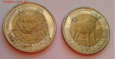 Турция 2010г.Кр.книга1+1лира Кошка,собака до17.04.20г.22:00 - 20200412_175803