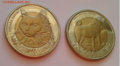 Турция 2010г.Кр.книга1+1лира Кошка,собака до17.04.20г.22:00 - 20200412_175818