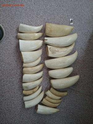 Куплю Янтарь ,Коралл,Будды Бронза,Зуб Кашалота,Бакелит,Иконы - IMG-20180814-WA0057