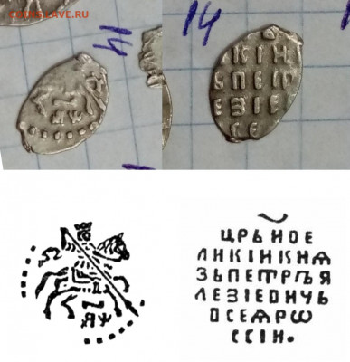 Помогите определить чешую - 1634