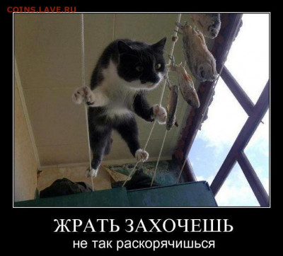 N-CoV(CoronaVirus) КоронаВирус.Последние новости - 1355570754_seanvmrra1m6