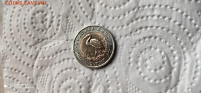 Красная книга 1993 Аист до 22.04 22.10 с 200 РУБЛЕЙ! - IMG_20200414_160056