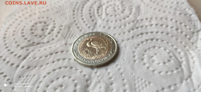 Красная книга 1993 Аист до 22.04 22.10 с 200 РУБЛЕЙ! - IMG_20200414_160104