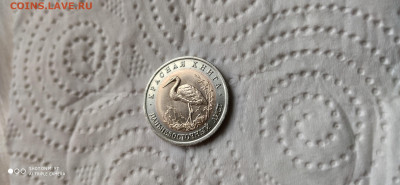 Красная книга 1993 Аист до 22.04 22.10 с 200 РУБЛЕЙ! - IMG_20200414_160121