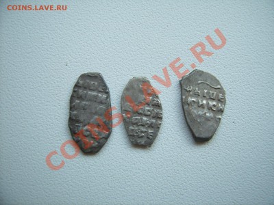 Подскажите по чешуйке - SUC53865.JPG