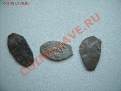 Подскажите по чешуйке - SUC53866.JPG