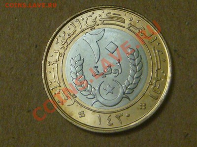 -v- Мавритания 20 угия 2009 бимет. до 1.09(21.00) - DSC04098.JPG
