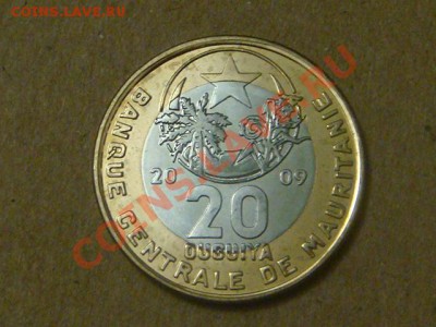 -v- Мавритания 20 угия 2009 бимет. до 1.09(21.00) - DSC04097.JPG