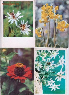 8 открыток БОЛГАРИЯ до 23.04.20 г. в 23.00 - 005