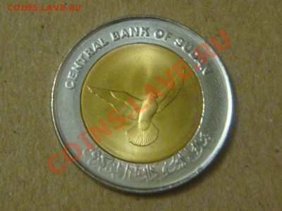 -v- Судан 50 пиастр 2006 бимет. Птица до 1.09(21.00) - DSC04101.JPG