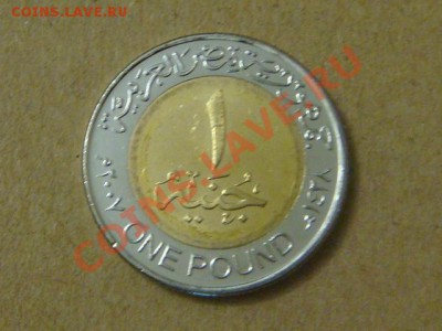-v- Египет 1 фунт 2007 бимет. до 1.09(21.00) - DSC04105.JPG