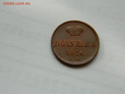 полушка 1856 года ЕМ до 22.04.2020 22-00 - DSCN5297