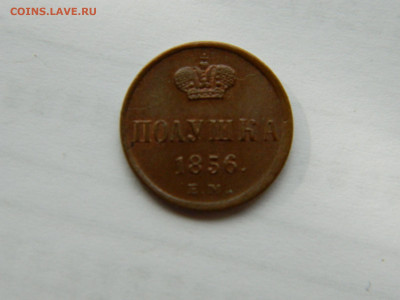 полушка 1856 года ЕМ до 22.04.2020 22-00 - DSCN5296