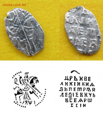 Чешуйки - 7шт. Определение, Оценка. - 1746