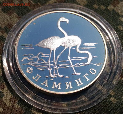1 руб 1997г. Фламинго. до 26.04. Ag 900. Proof. с 200 руб. - P_20200415_135130