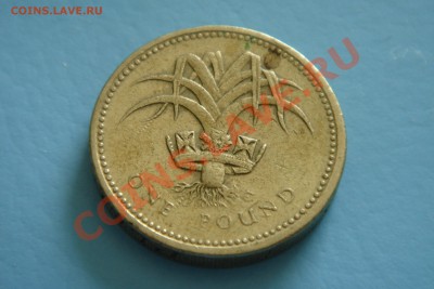 Англия 1 фунт 85 - DSC00084.JPG