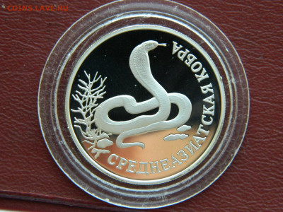 1 рубль. Среднеазиатская кобра. до 25.04.2020 22-00 - DSCN5092