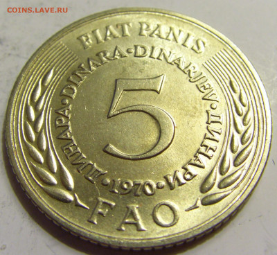5 динар 1970 ФАО Югославия №2 27.04.2020 22:00 МСК - CIMG6808.JPG