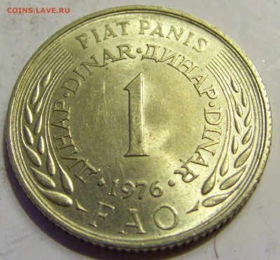 1 динар 1976 ФАО Югославия №1 27.04.2020 22:00 МСК - CIMG6856.JPG