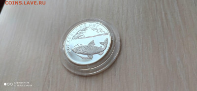 Красная книга 1 Рубль 2005 Волховский сиг до 27.04 22.10 - IMG_20191121_161542