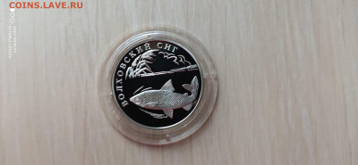 Красная книга 1 Рубль 2005 Волховский сиг до 27.04 22.10 - IMG_20191121_161540
