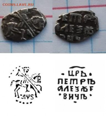 чешуйки на опознание и оценку - 2055