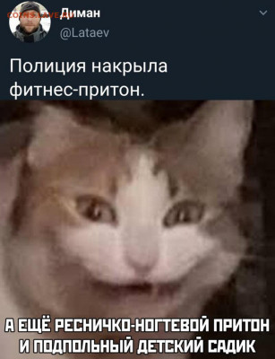 юмор - 1-6-35