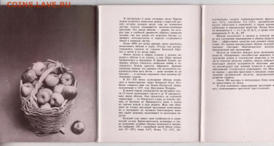 Яблочный стол советы хозяйкам 1973 г. до 28.04.20 г. в 23.00 - 016
