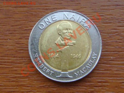 -v- Нигерия 1 найра 2006 бимет. до 1.09(21.00) - DSC04132.JPG