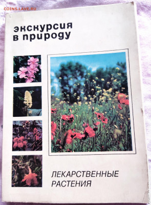 Набор открыток Экскурсия в природу 28.04.20 22.00 - P00421-170854