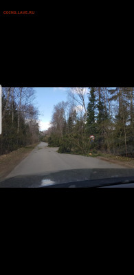 перекличка городов по температуре - Screenshot_20200423-080120_Gallery