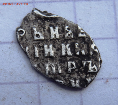 чешуя Петра Алексеевича оценка - P4230013.JPG