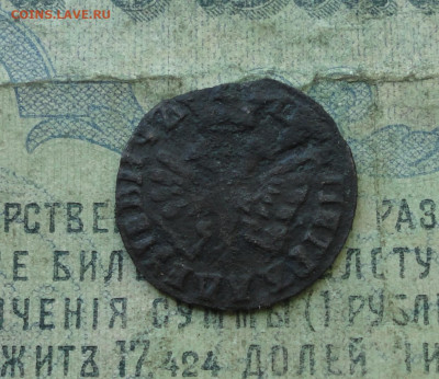 Полушка 1707 года. До 27.04.20. - DSC09754.JPG