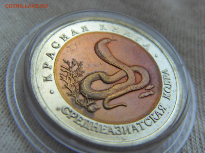 Красная Книга- 10 рублей Кобра 1992 до 28.04.20 г. - SDC17835.JPG