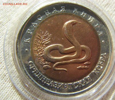 Красная Книга- 10 рублей Кобра 1992 до 28.04.20 г. - SDC17832.JPG