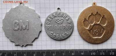 Собачьи медали до 28-04-2020 до 22-00 по Москве - Собаки Р