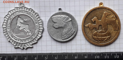 Собачьи медали до 28-04-2020 до 22-00 по Москве - Собаки А