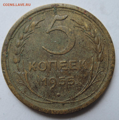 5 копеек 1955 г. до 03.09 в 22.00 - DSCN5190.JPG