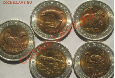 Красная книга 1993 набор UNC  до 2,09,2011 22-00+10мск - кк93.JPG
