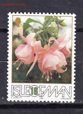 МЭН 1988 цветы 1м 16п по фиксу до 30 04 - 162